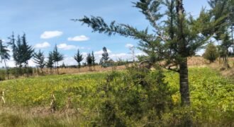 Kabubani land for sale