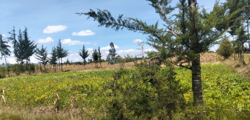 Kabubani land for sale