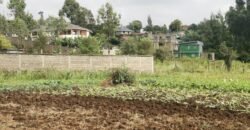 Plots for sale in Kahuho Muguga Plots for sale in Kahuho Muguga