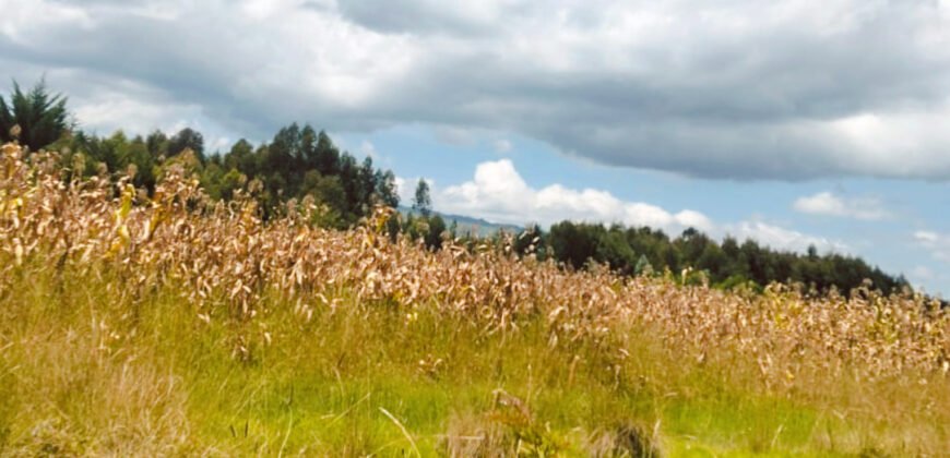 2 acres land for sale in Kabubani Olkalou