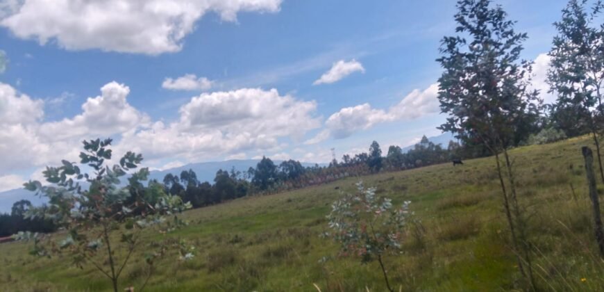 Sister’s 3 acres land for sale Nduha Olkalou