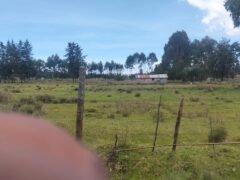 Nduha land for sale