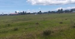 Nduha land for sale Nduha land for sale