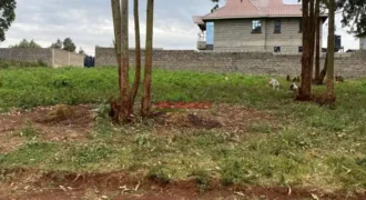 50 by 100 plots for sale in Muguga