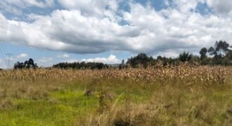 Agricultural land for sale in Kabubani Olkalou