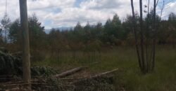 5 acres land for sale in Chebes Olkalou 5 acres land for sale in Chebes Olkalou