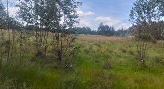 5 acres land for sale in Chebes Olkalou
